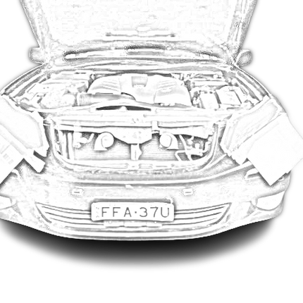 Collection image for: Custom eyelids